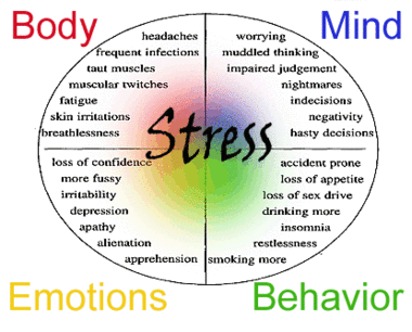 the effects of stress